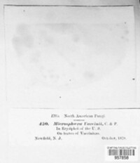 Image Associated With the Occurence